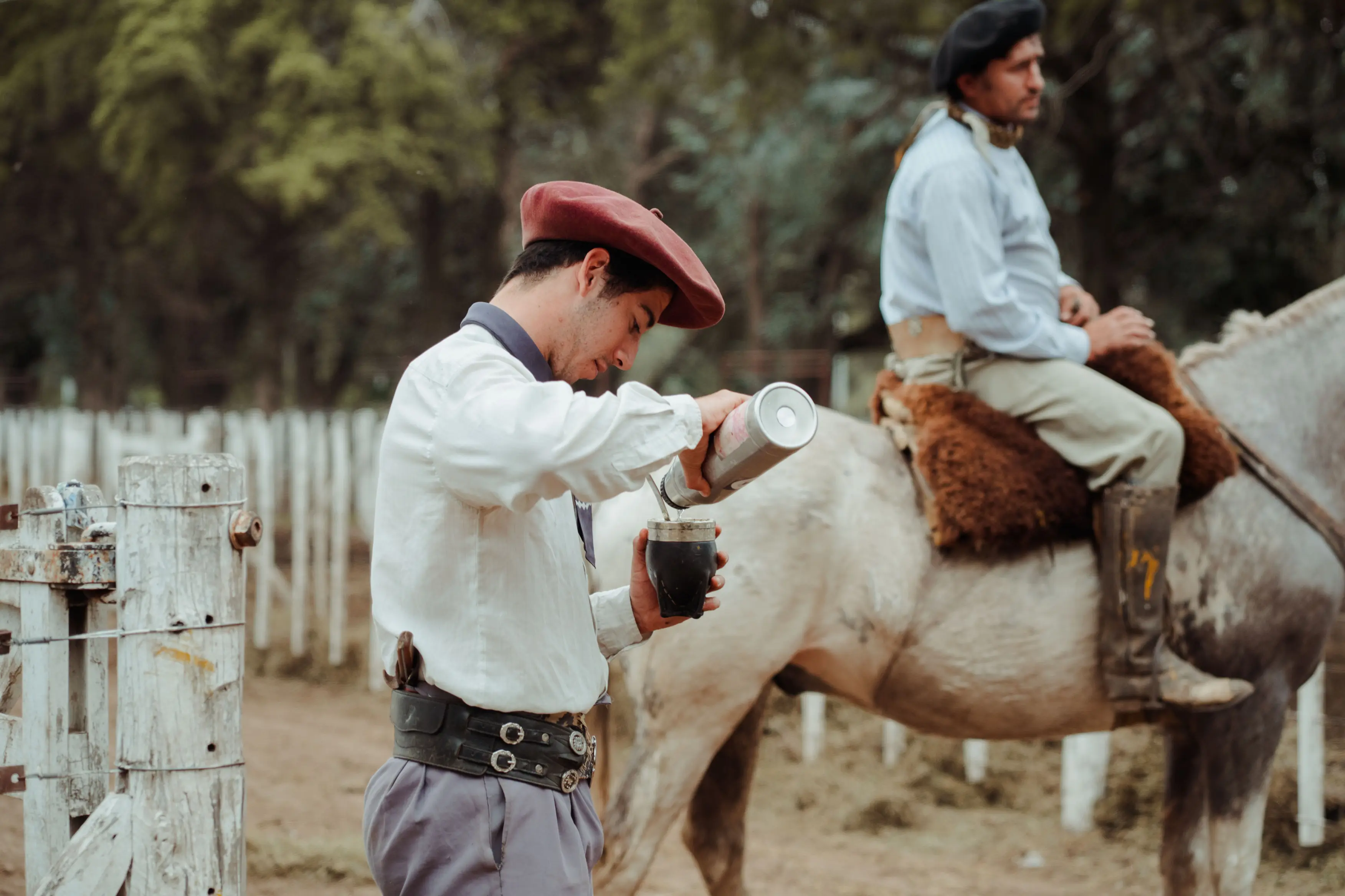 Ventas - Ariel Saenz