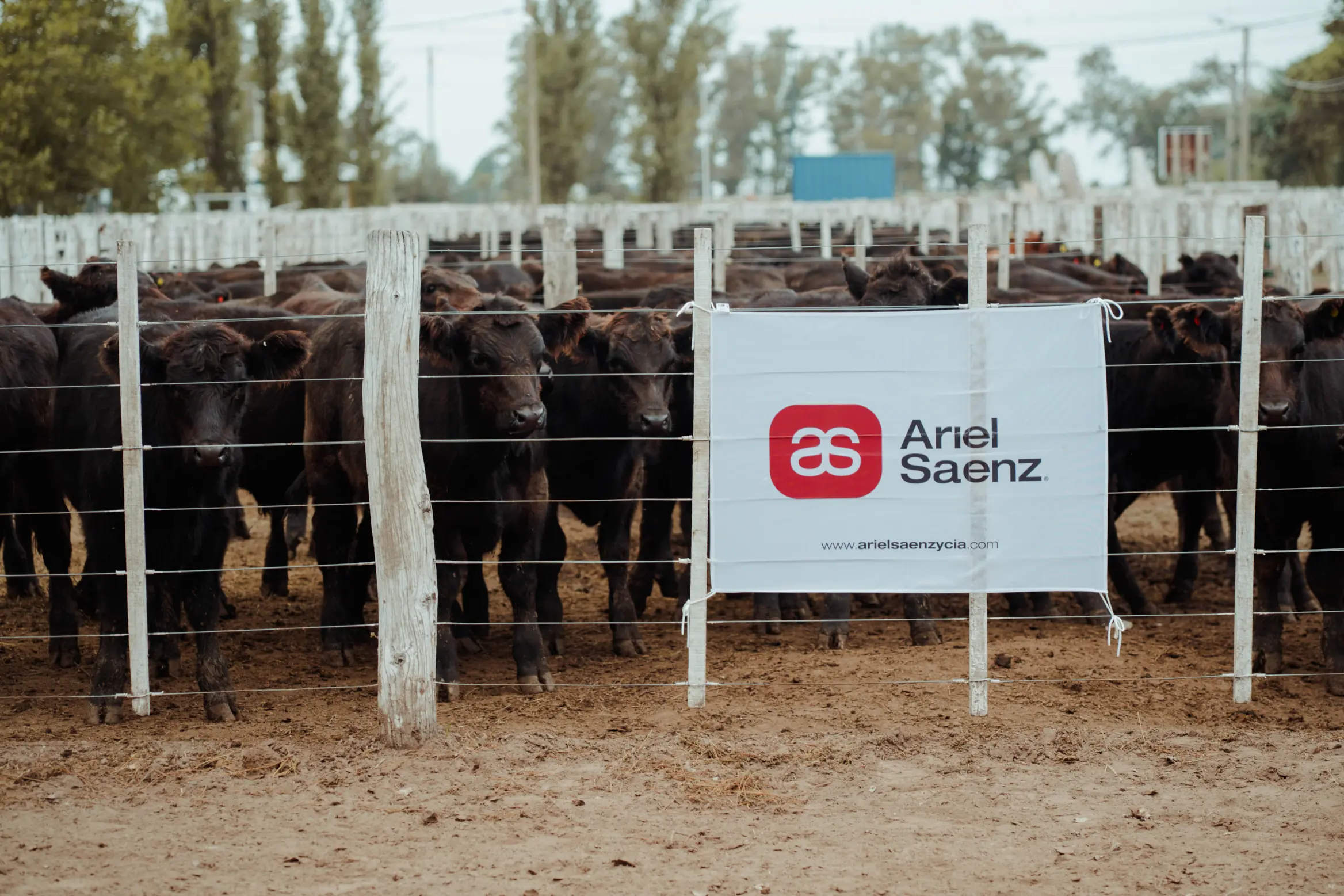 Remates - Ariel Saenz